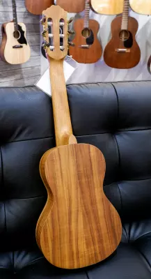 Denver - Guitar Ukulele 2